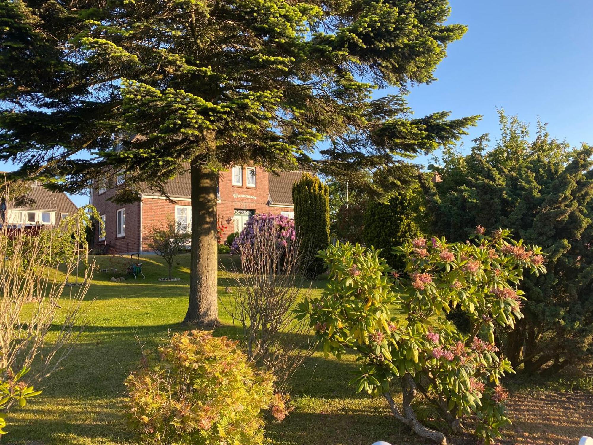 Pension Wosmaaren Norddorf auf Amrum Extérieur photo